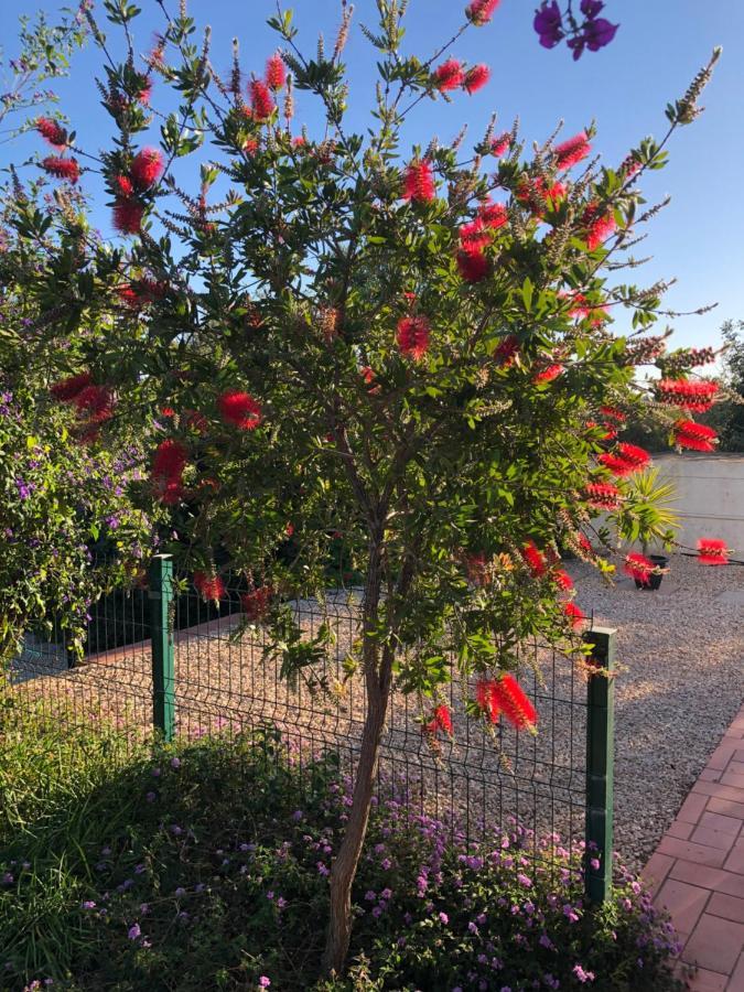 Quinta Das Amendoeiras B&B Nora  エクステリア 写真